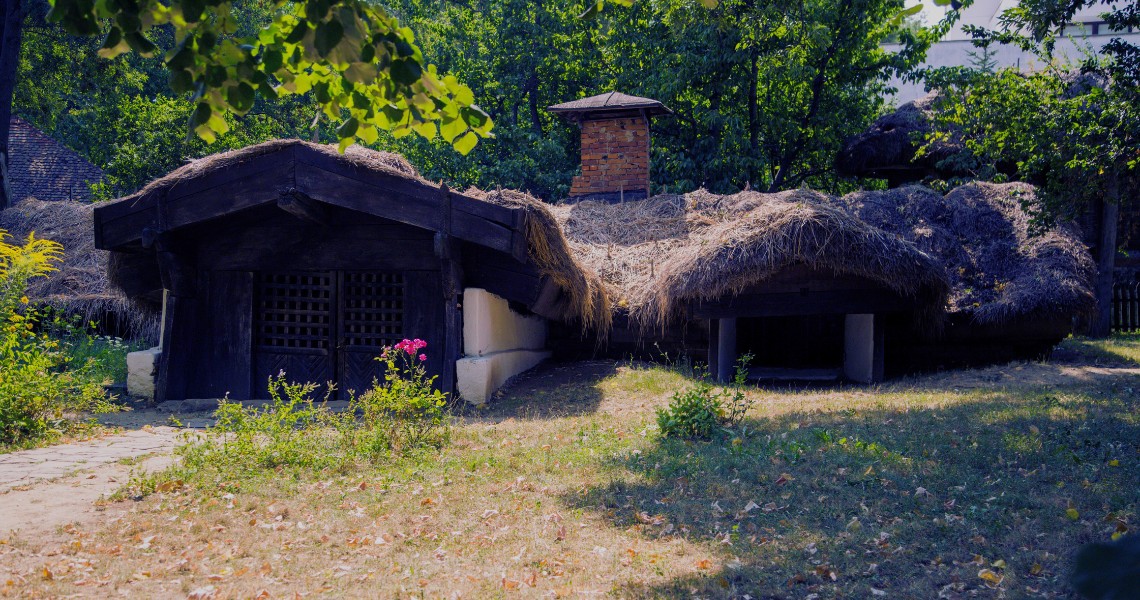 A traditional Romanian dugout house at the Village Museum, with a thick hay-covered roof, dark wood doors, and a brick chimney, framed by trees and a rose bush.